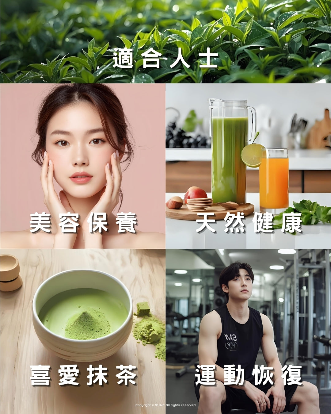 濟州抹茶膠原蛋白果凍